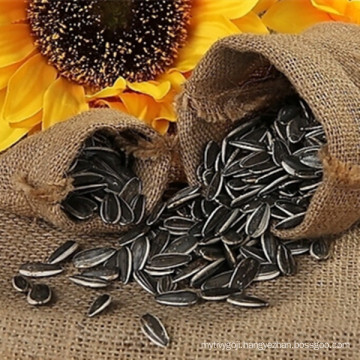 Hybrid hulled sunflower seeds with new crop market price